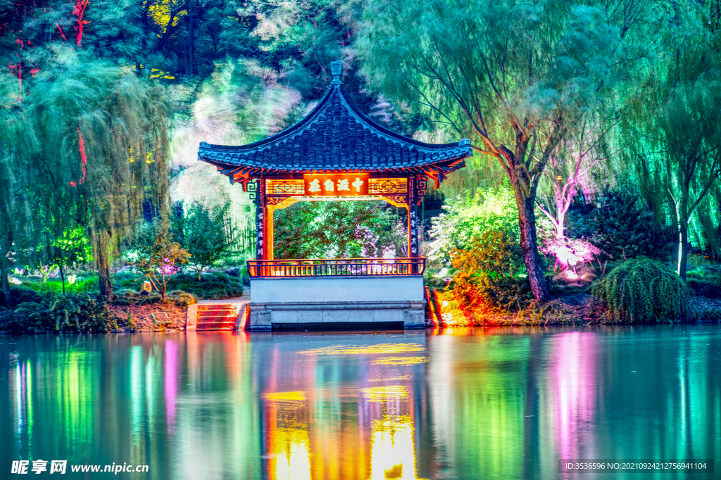 长堤春柳霓虹夜景