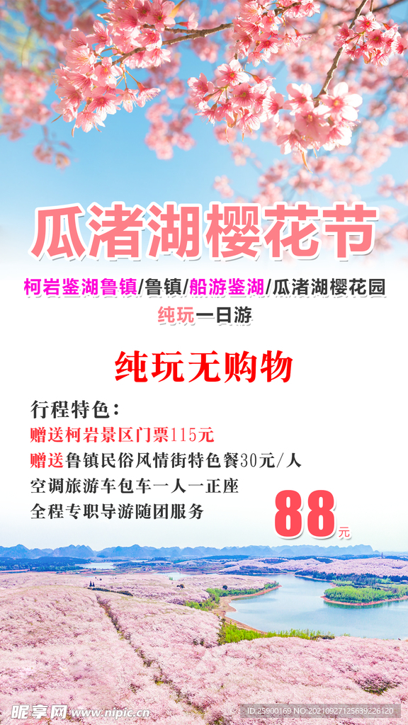 赏樱花