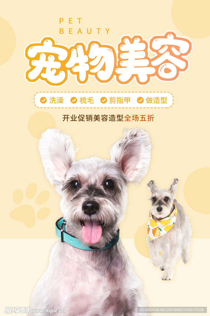 宠物美容