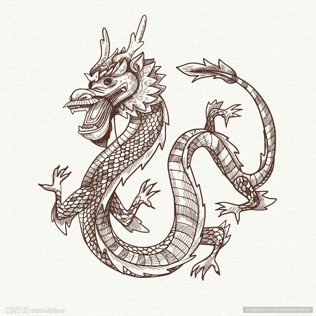 龙
