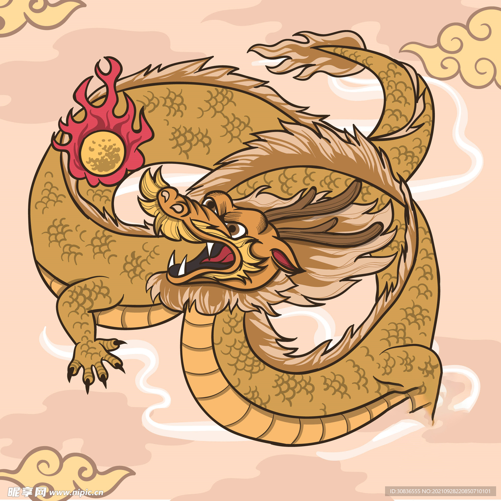 龙 