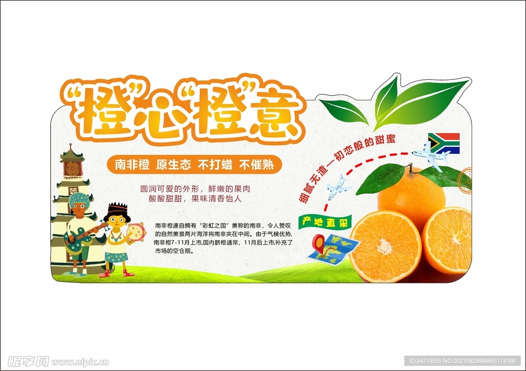 南非橙子水果文宣
