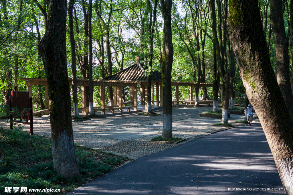 岳阳金鹗山公园金鹗山孔子公园