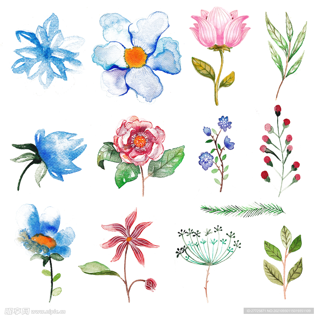 水彩花卉