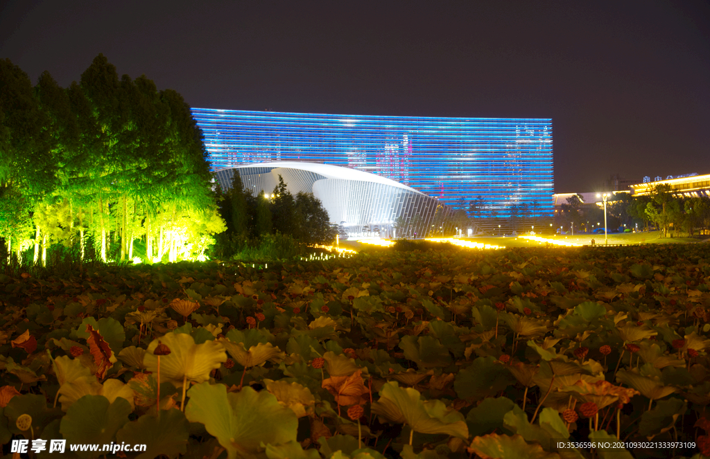 绿叶丛中的大剧院夜景