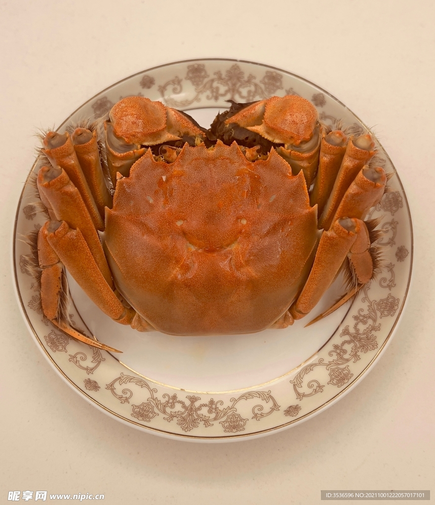 螃蟹