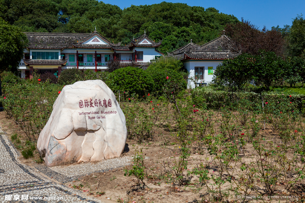 岳阳君山岛景区