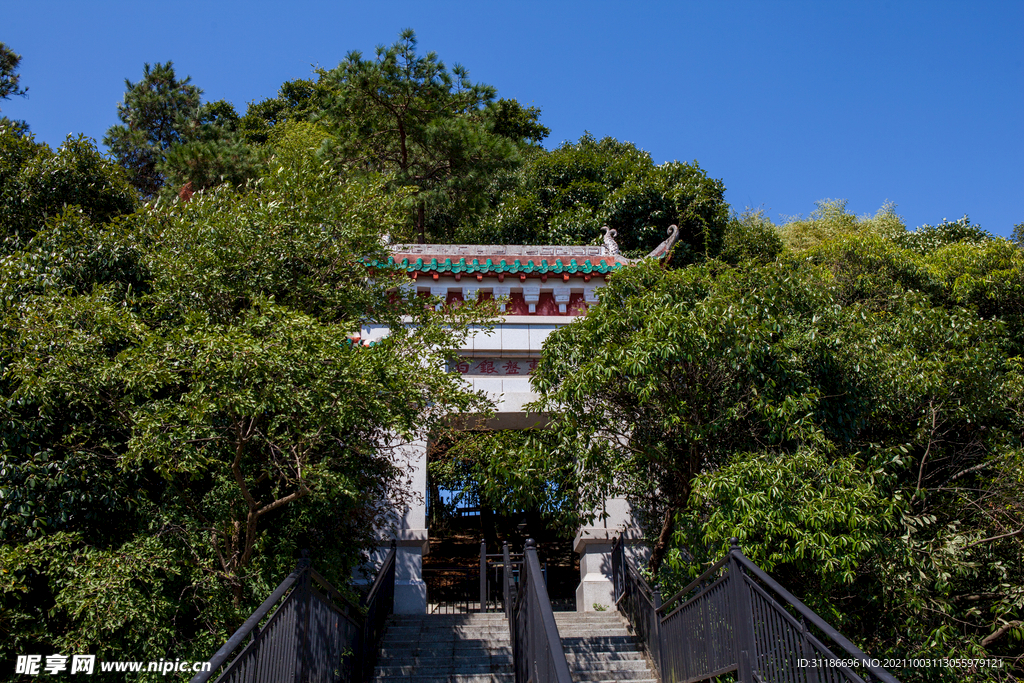 岳阳君山岛景区 白银盘里