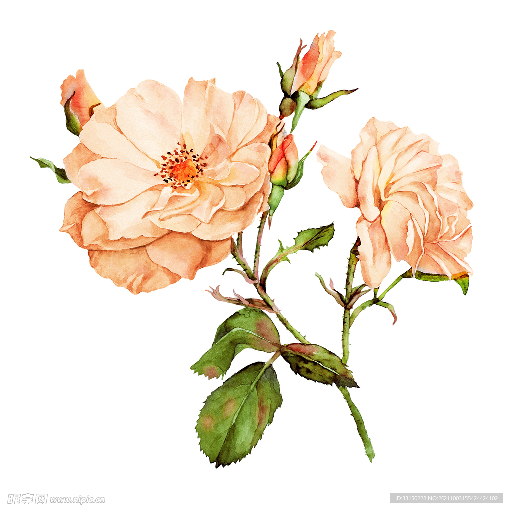 数码印花水彩花抽象花卉水彩花
