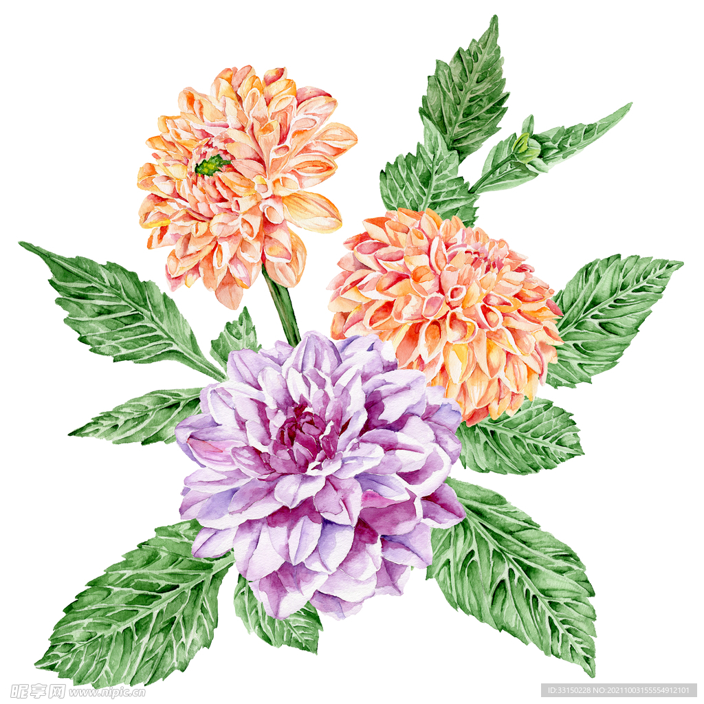 数码印花水彩花抽象花卉水彩花