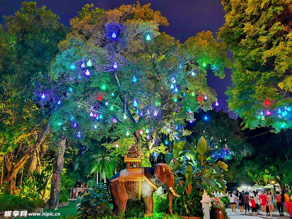 彩灯挂树夜景