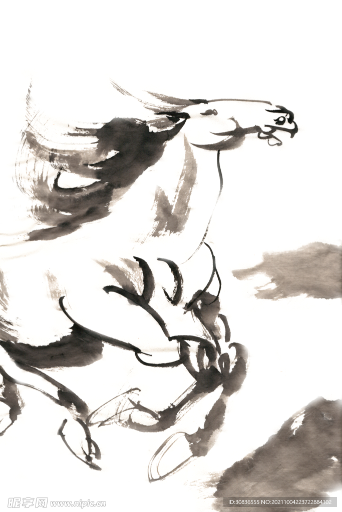 马 