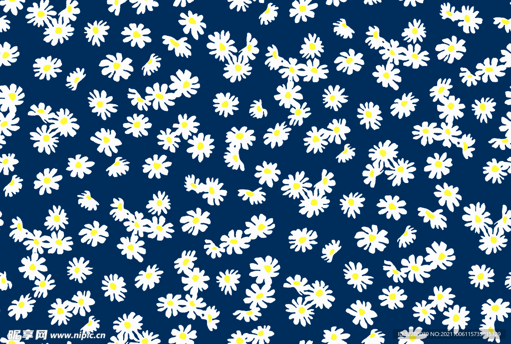 小雏菊