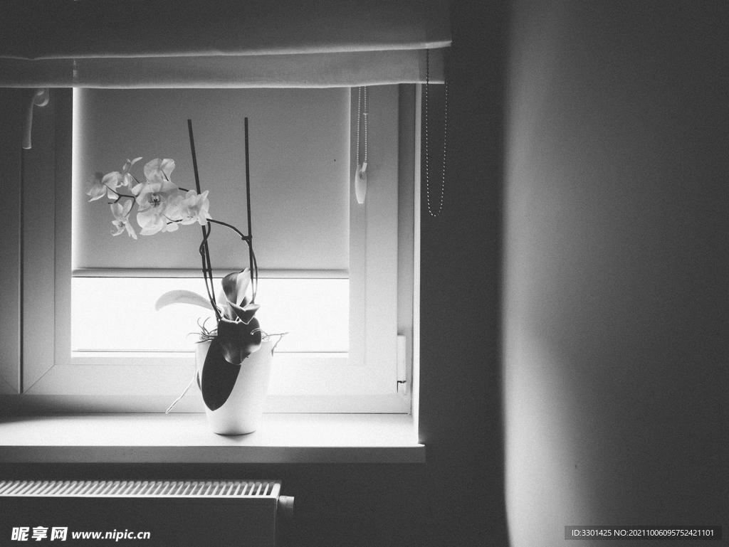 窗台上的兰花