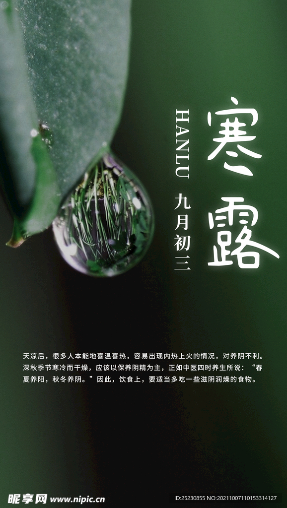 寒露海报