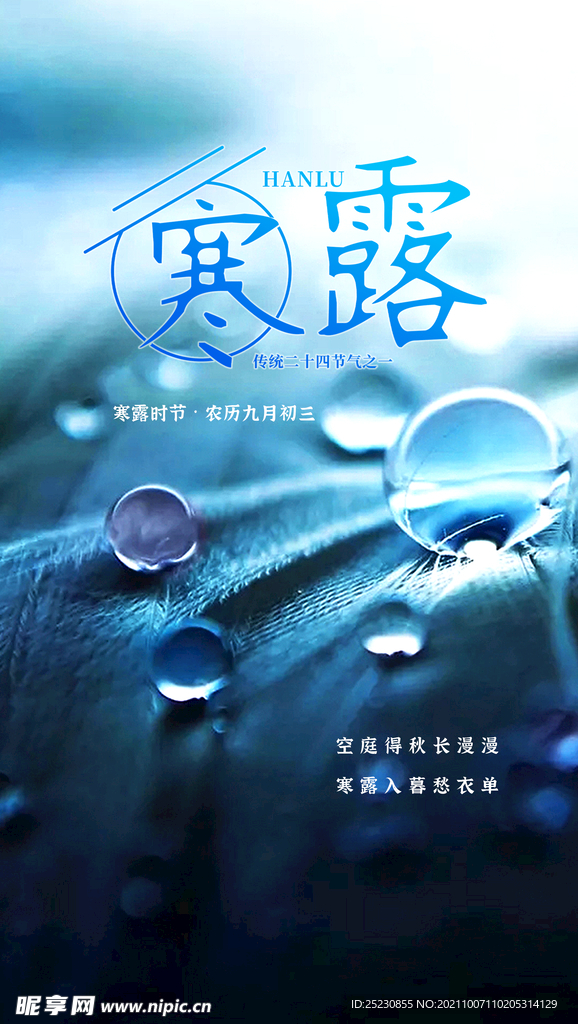 寒露海报