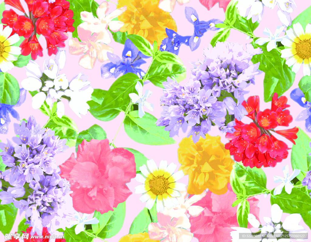 粉黄花