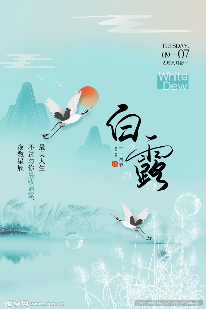 白露节气海报