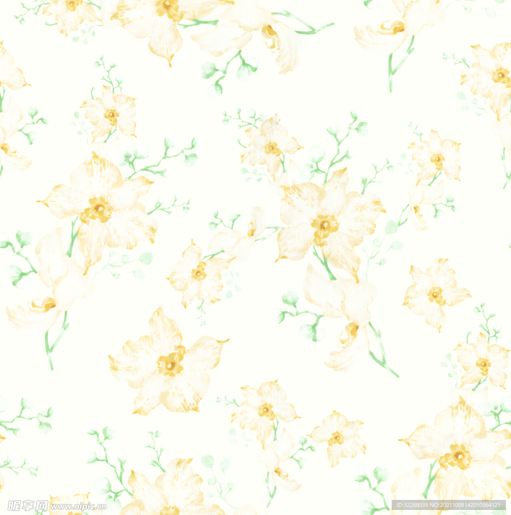黄花 