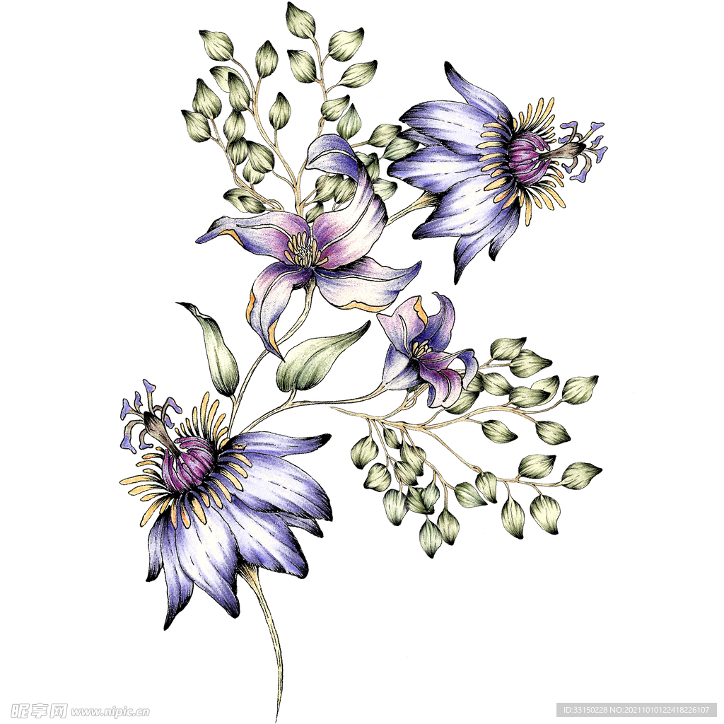 数码印花水彩花抽象花卉水彩花