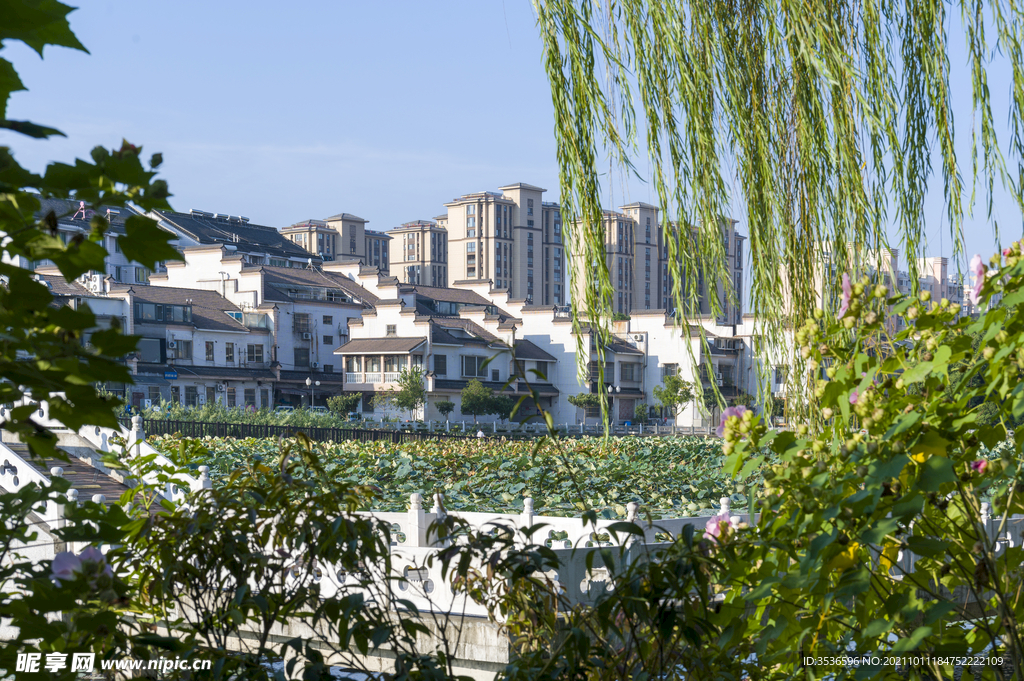 城市花园 