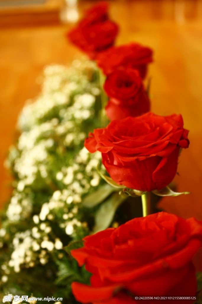 玫瑰花
