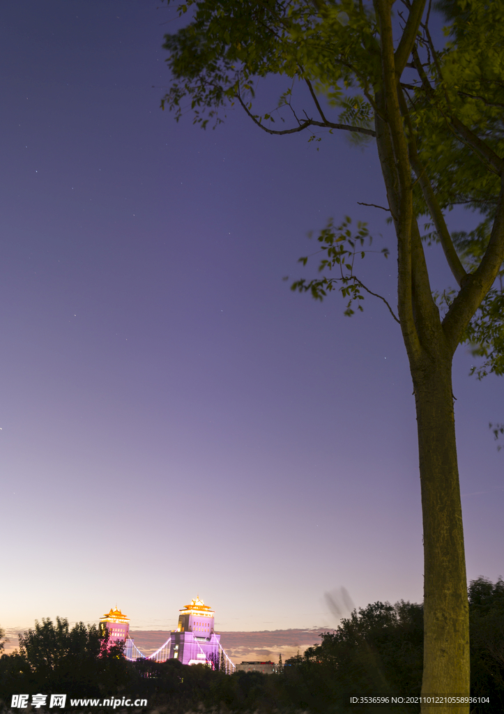 夜色霓虹美景 