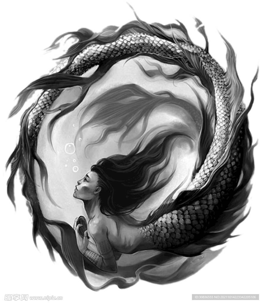 美人鱼 