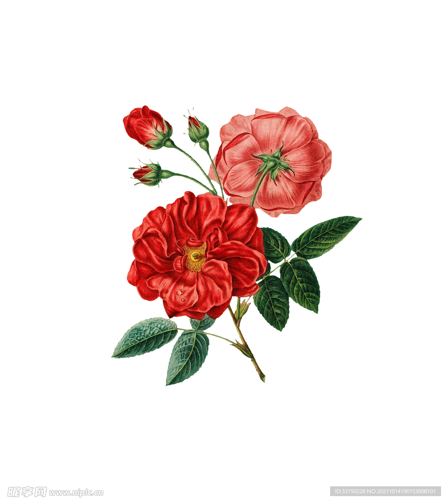 数码印花玫瑰花绣球花抽象花卉
