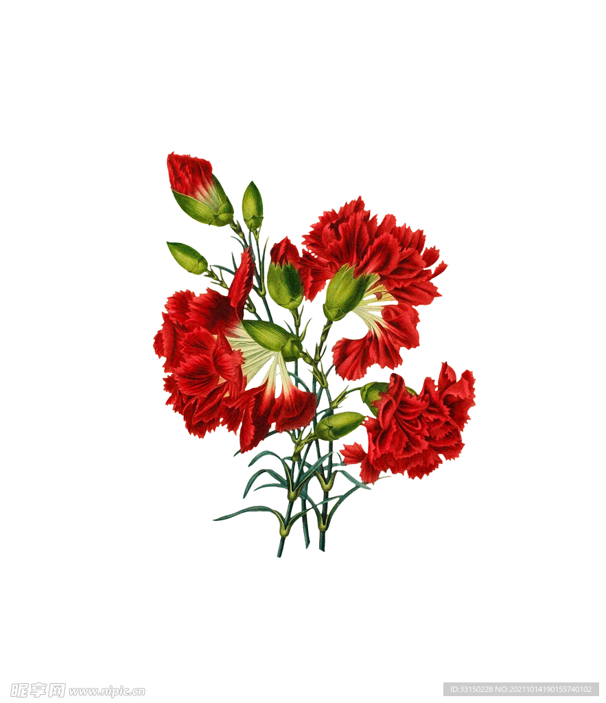 数码印花玫瑰花绣球花抽象花卉