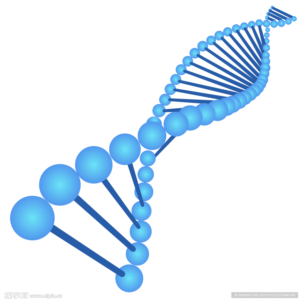 生物基因 