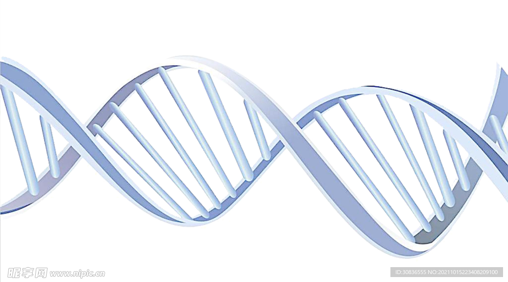 生物基因