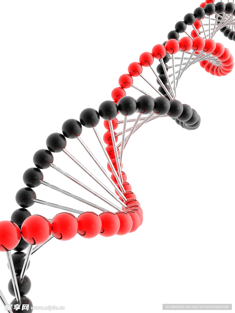 生物基因