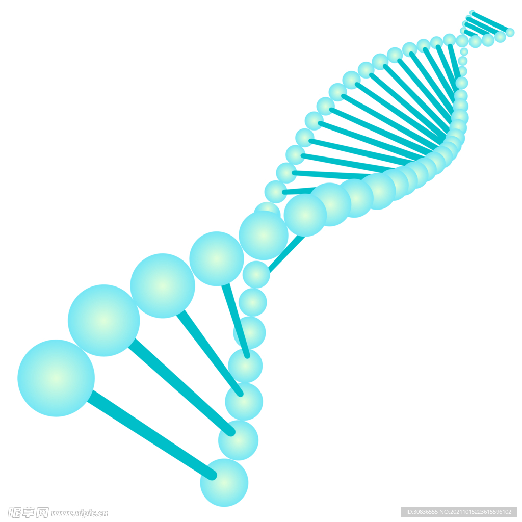 生物基因 