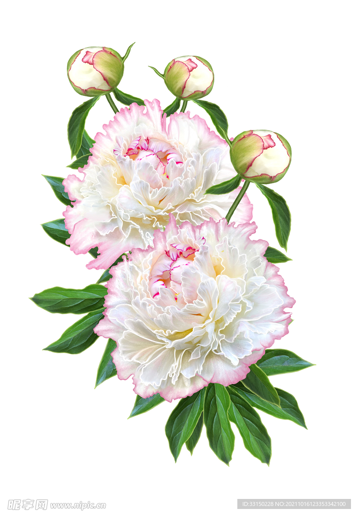 数码印花水彩花抽象花卉水彩花