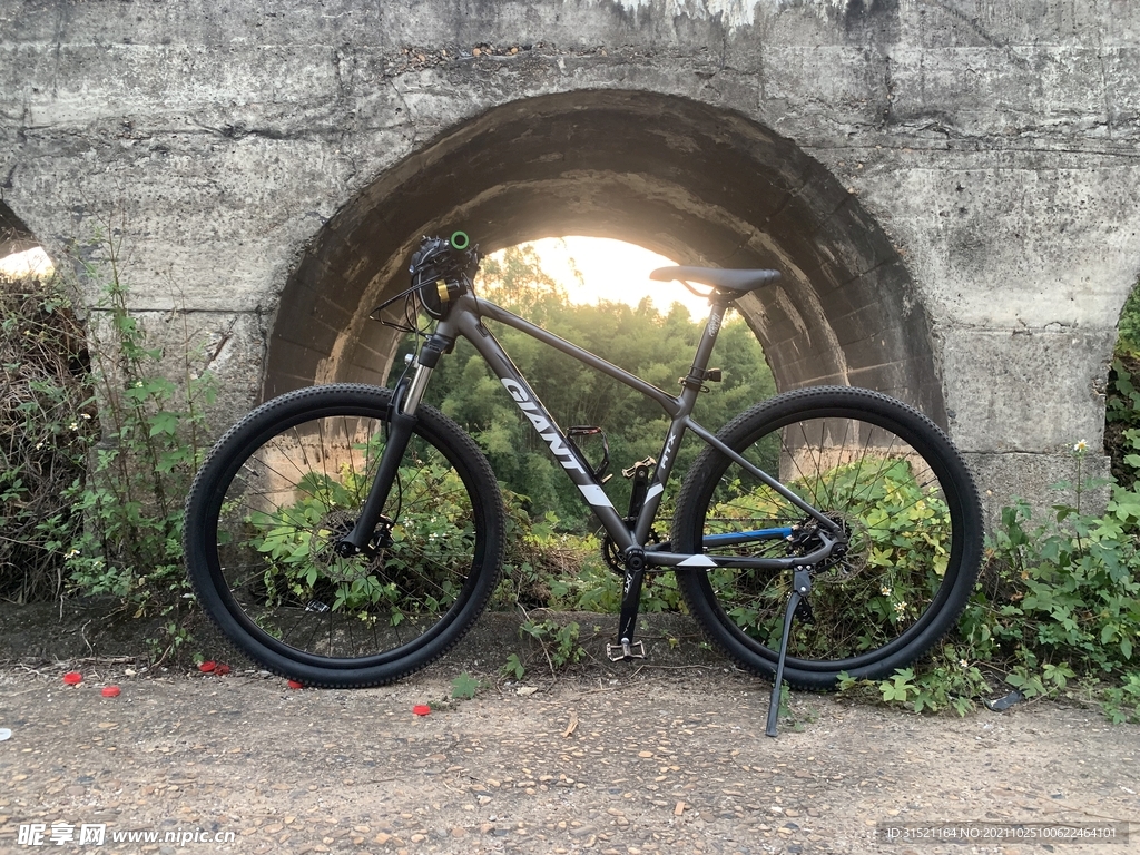 捷安特山地车自行车拍摄图