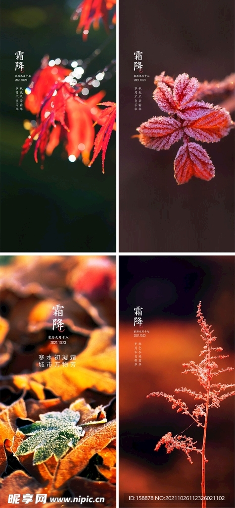 霜降