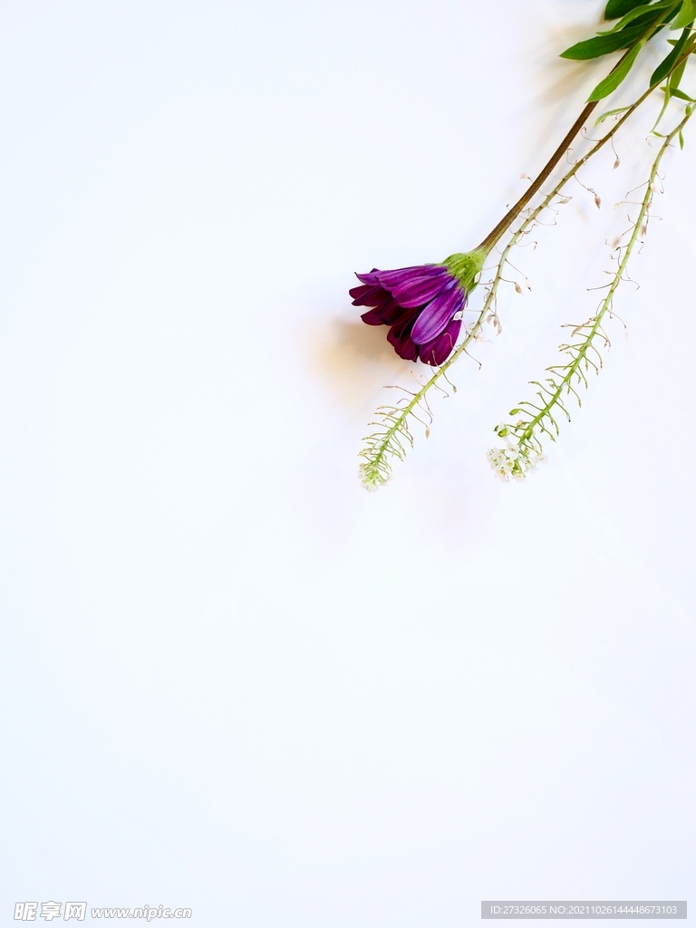 唯美鲜花留白便签