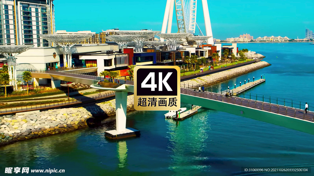 航拍海港城市建筑群