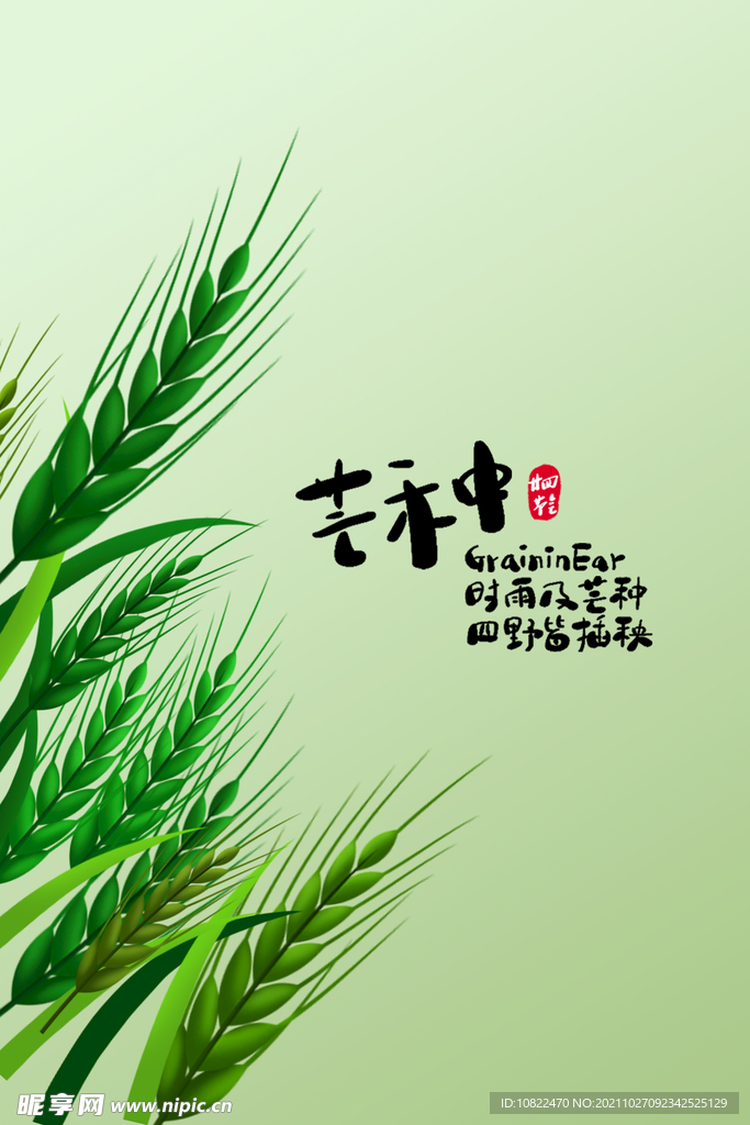 二十四节气芒种