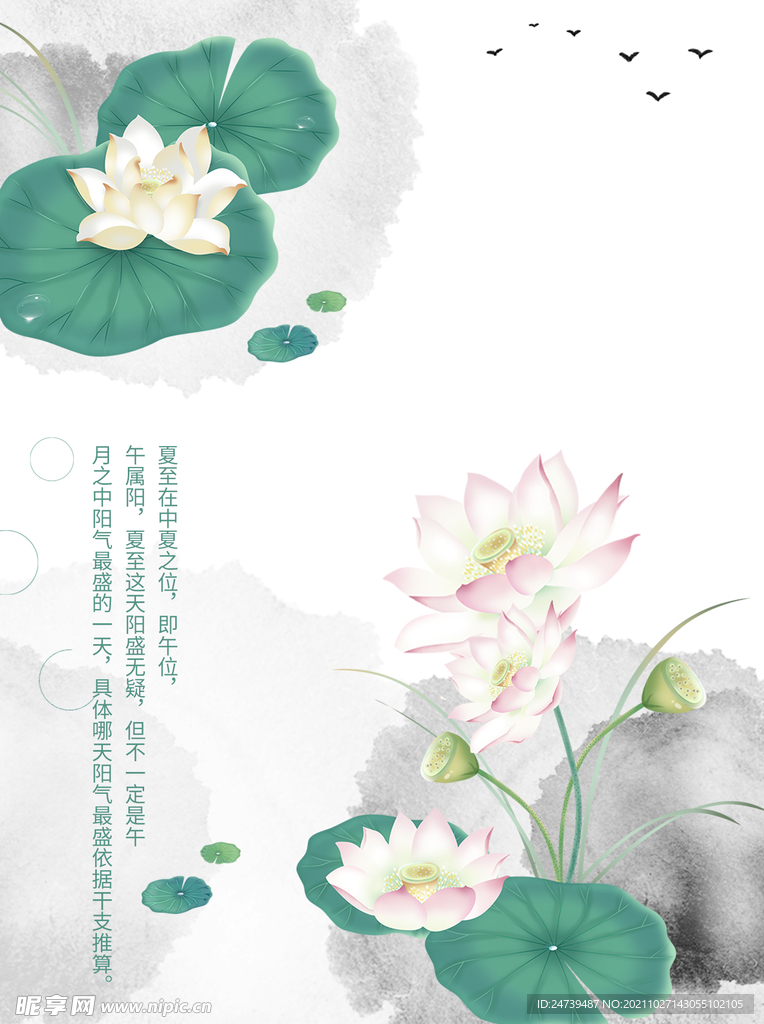 荷花素材