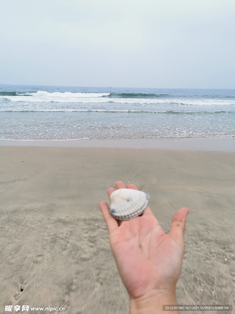 海边 大海