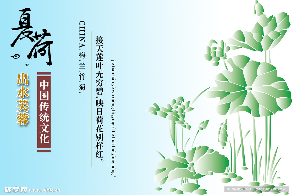 夏荷