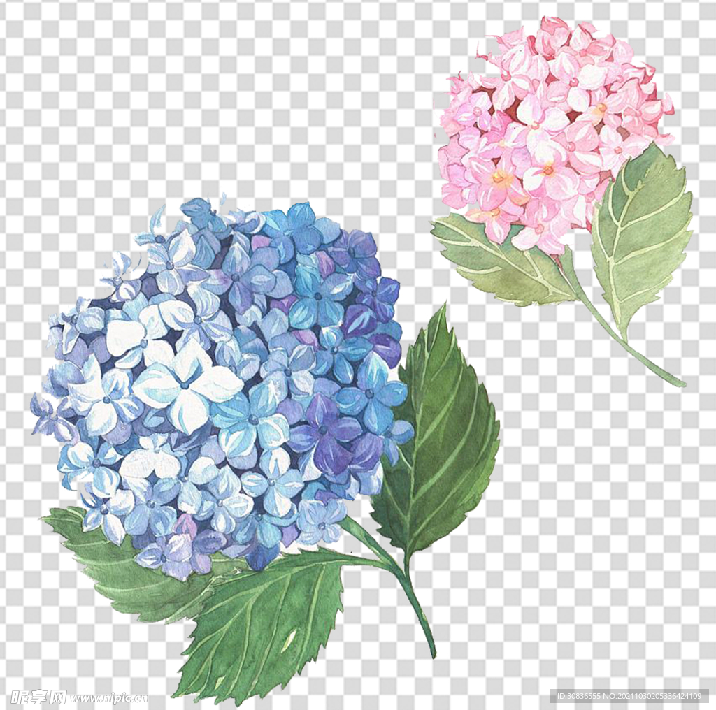 花 