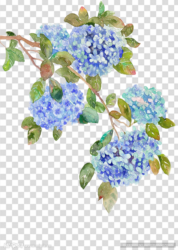 花 
