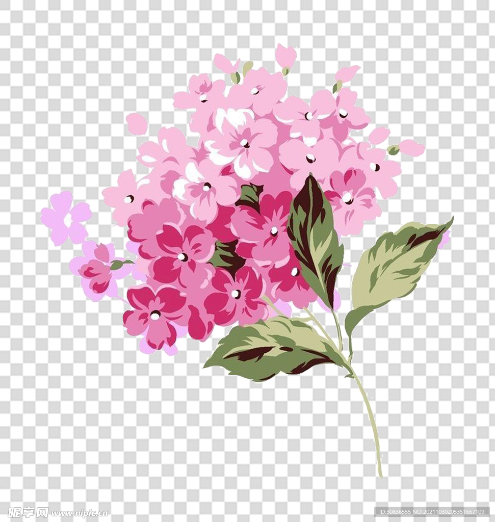 花 