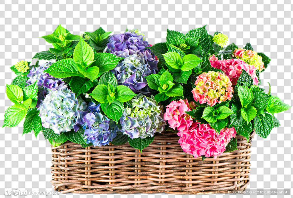 花