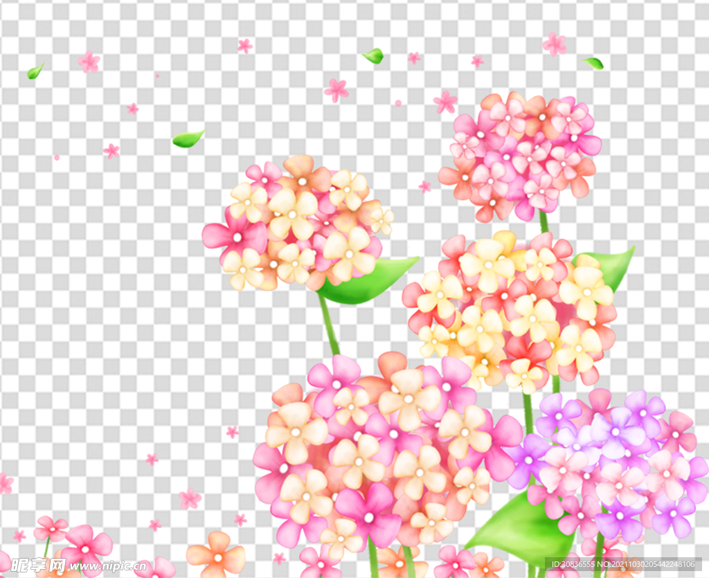 花 