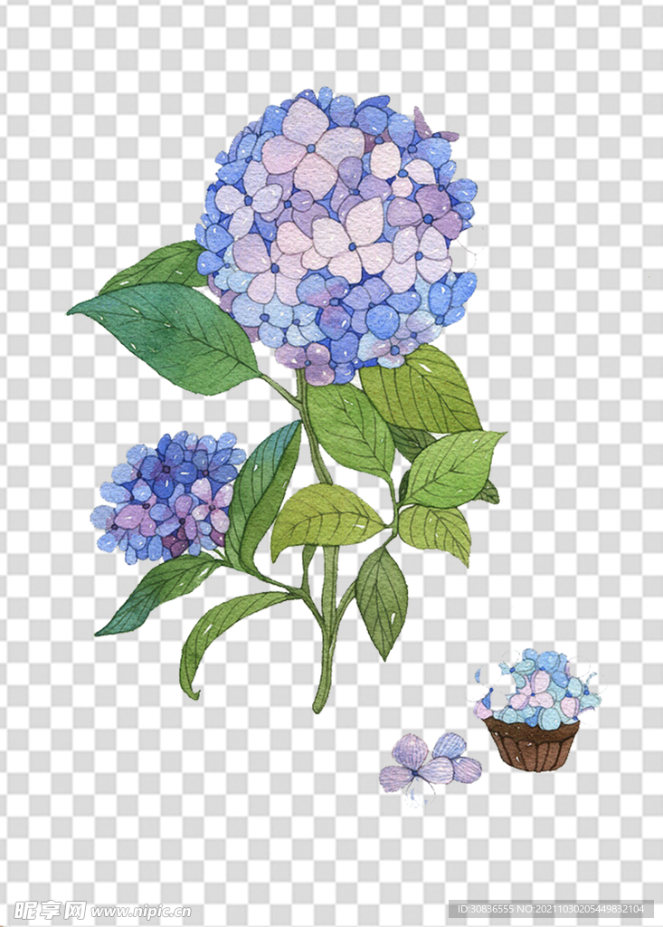 花