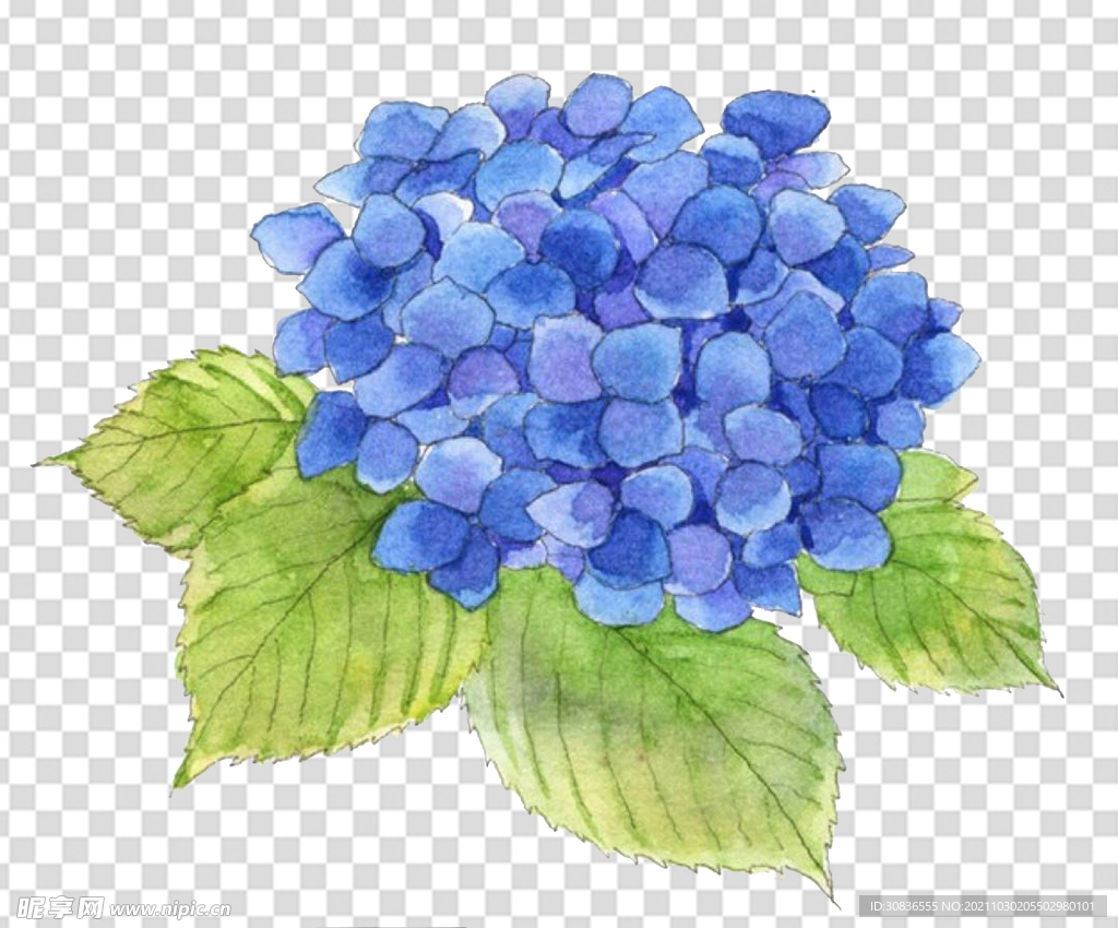 花 